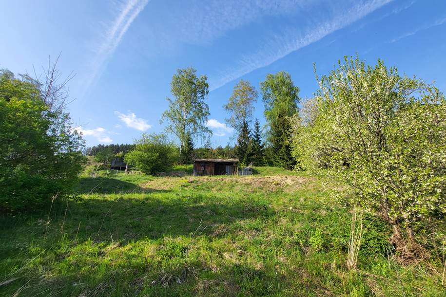 Sonniges Baugrundstück vor den Toren von Linz, Grund und Boden-kauf, 280.000,€, 4203 Urfahr-Umgebung