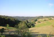 Großzügiges Miethaus Nähe Heiligenkreuz am Waasen