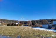 "Ländliches Idyll in Katzelsdorf" großes BAUGRUNDSTÜCK mit 1070m²