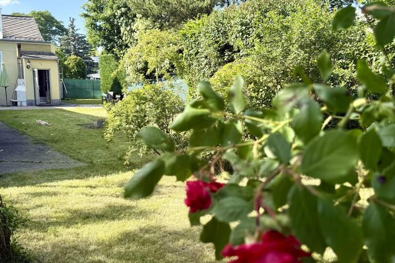 Herrliche Altbauvilla - absolute Grünruhelage - 190 m² Wfl. - 1.100 m² Garten mit Pool, Haus-kauf, 1.880.000,€, 1130 Wien 13., Hietzing