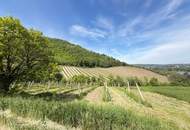 "Luxuswohnung in Bestlage des 19. Bezirks-über den Weinbergen"