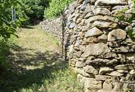 Freizeitgrundstück - Weingarten mit Gartenhütte