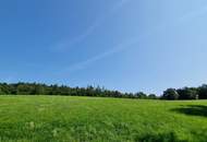 LANDWIRTSCHAFT VOR DEN TOREN WIENS