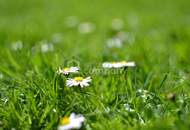 Günstiges BAUGRUNDSTÜCK in Sarasdorf - aufgeschlossen!