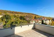 360° TOUR // LUXUS-DACHTERRASSEN-WOHNUNG mit FERNBLICK