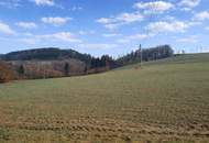 Landwirtschaftliche Nutzflächen in St. Agatha / Waizenkirchen
