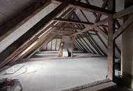 Historische Altbauvilla trifft auf modernen Luxus!