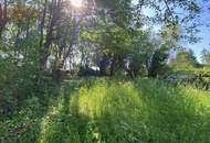 Traumhaus in 1190 Wien - 180m², 6 Zimmer, großer Garten, Balkone, Terrasse, Stellplatz uvm.