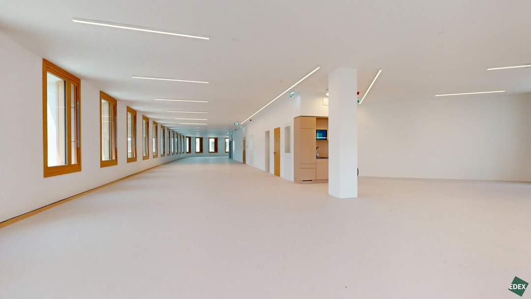 ROBIN Seestadt - Innovative Büroflächen in Wiens modernstem Stadtquartier