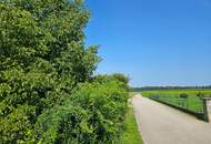 Baugrund