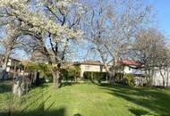 "großzügiges Baugrundstück direkt im Ortskern"