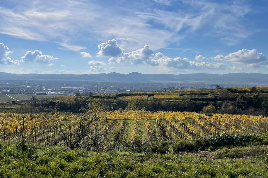 WEINGARTEN IN AUSSICHTSLAGE - WEINGARTEN, LANDWIRTSCHAFTLICHE FLÄCHEN - KEIN BAUGRUNDSTÜCK!, Grund und Boden-kauf, 35.000,€, 3500 Krems an der Donau(Stadt)