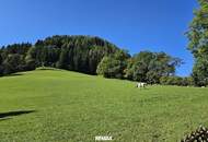 KAUFANBOT VORLIEGEND: Haus in einzigartiger Alleinlage mit toller Aussicht!