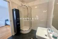 ZENTRUMSNAHES - MODERNES DACHTERRASSENAPARTMENT