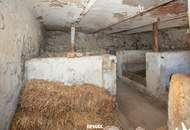 Sanierungsbedürftiger Bauernhof mit großem Grundstück und viel Potenzial