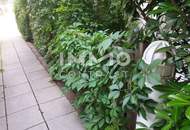 Ruhige und sonnige 2-Zimmer Wohnung mit Terrasse in der Kaisergasse 12 - 14 , Top 2