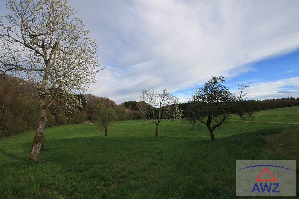 Bauernsacherl in Ruhelage!