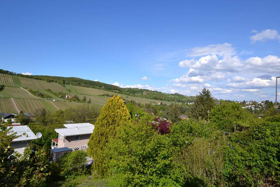 Idyllisch gelegenes Kleingartenhaus auf Pachtgrundstück mit Weinbergblick! Angebotsverfahren!, Haus-kauf, 225.000,€, 1190 Wien 19., Döbling