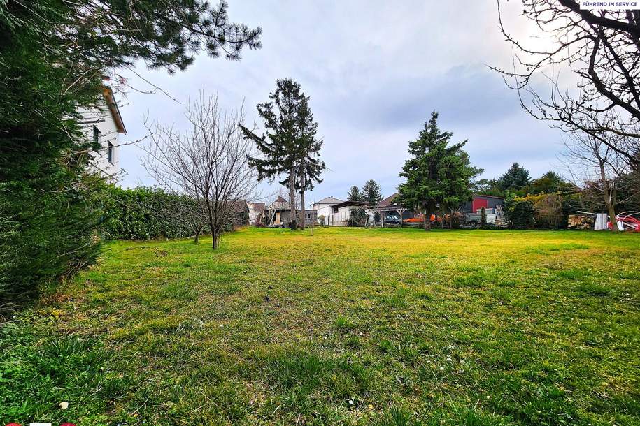 Stadtgrenze Wien, nicht aufgeschlossenes Grundstück,Nähe Gänserndorf, Grund und Boden-kauf, 268.000,€, 2283 Gänserndorf