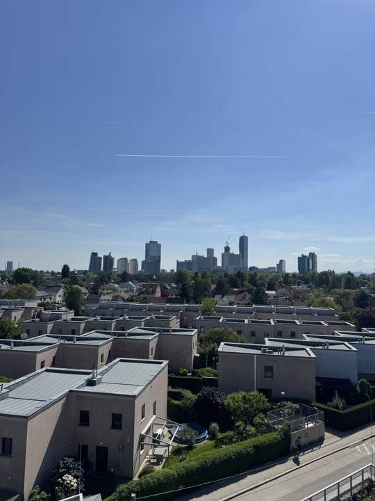 Luxuswohnung mit Dachgarten, Terrasse und Traumblick