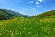 Atemberaubend schöne Landschaft - Südlage - ebener Baugrund 1569qm plus 548qm Grünland insgesamt 2.117qm - kein Bauzwang !!! Nähe Alland nur 20 Minuten nach Wien!!!