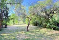 Seltene Gelegenheit: Traumhaft gelegenes Grundstück in Mauer | ZELLMANN IMMOBILIEN