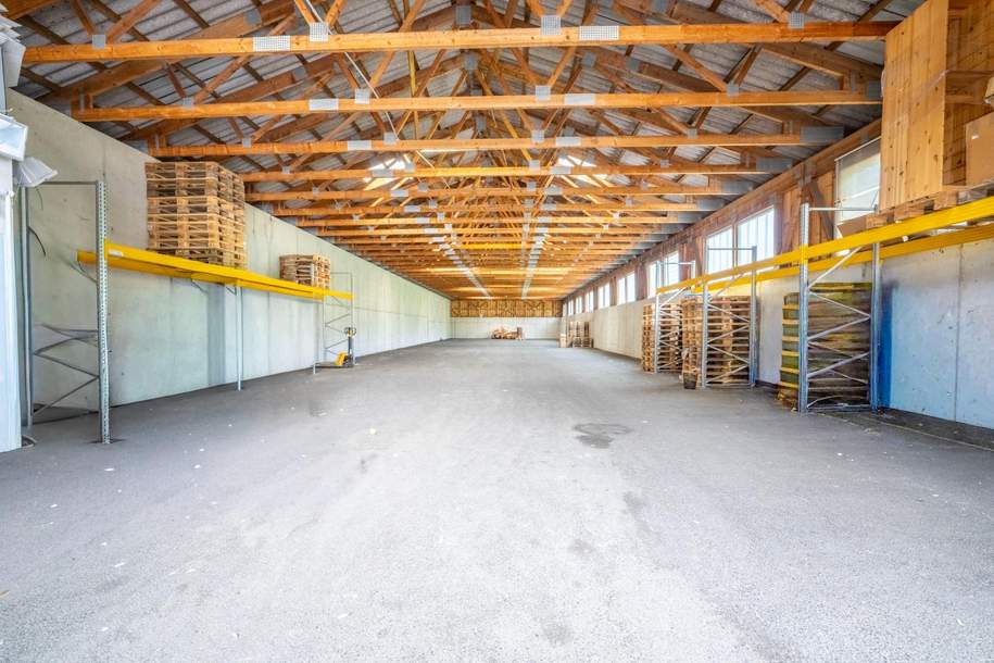 Ihr neuer Betriebsstandort in Ebenau – 577 m² Gewerbehalle nahe Salzburg, Gewerbeobjekt-miete, 2.490,00,€, 5323 Salzburg-Umgebung