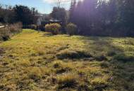 Einzigartiges Baugrundstück mit großem Schwimmteich in Graz