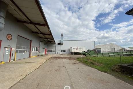 Beheizbare Lagerhalle mit rd. 7 bis 9 Meter Hallenhöhe, diversen Krananlagen, Freiflächen etc. in Asten zu vermieten!, Gewerbeobjekt-miete, 6.999,52,€, 4481 Linz-Land