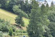 Große Landwirtschaft mit Wiesen und kleineren Wäldern welche zur Zeit als Wildtiergehege genutzt wird, Quadratmeterpreis 2,40 Euro