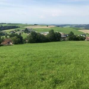 Nur mehr 2 Grundstücke frei - Alpenblick