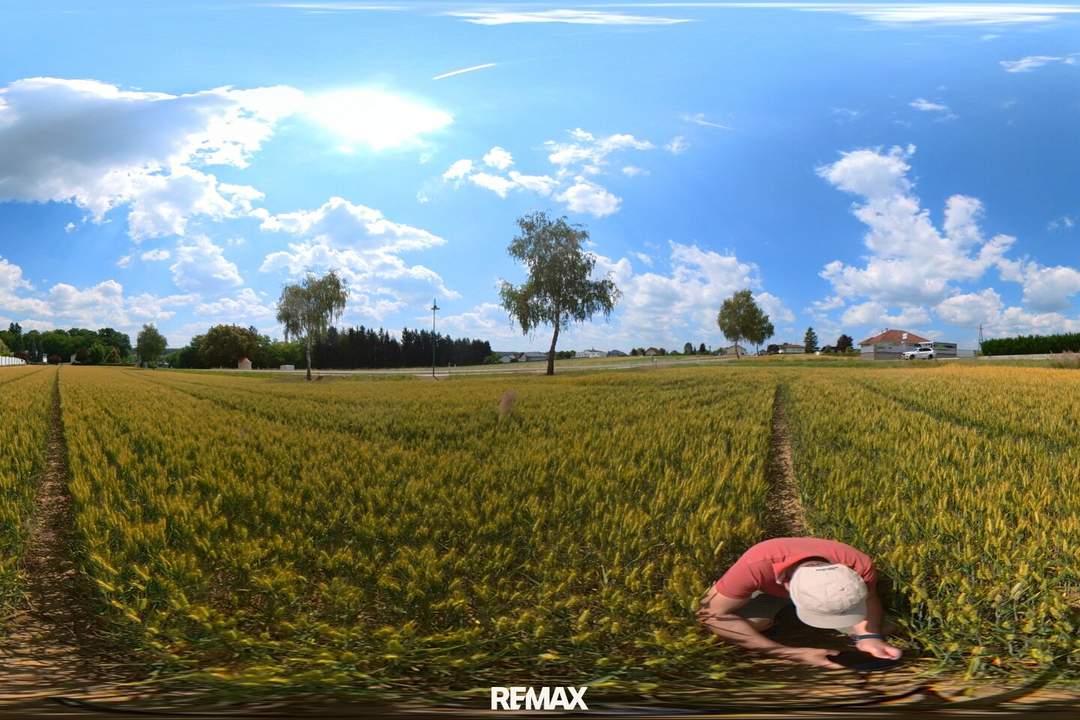 SONNIGES BAUGRUNDSTÜCK ohne Bauzwang