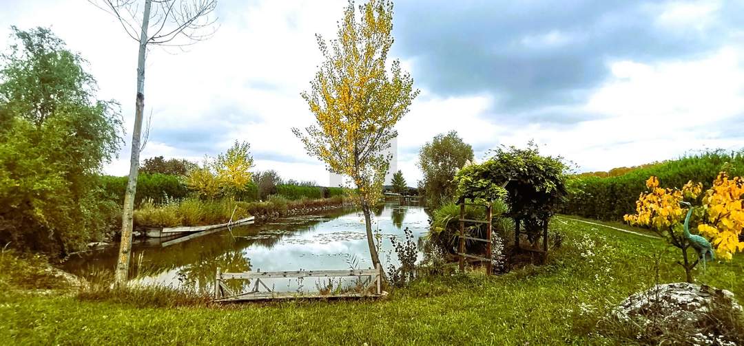 ENTSPANNUNG PUR - FISCHTEICH MIT HÜTTE UND STREUOBSTWIESE