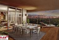 SILVESTER MIT FERNBLICK