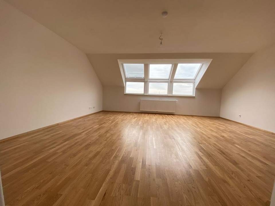 Top-sanierte, helle, super-großzügige 3-Zimmer-Neubauwohnung in der Lobmeyrgasse!