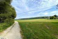 Idyllische Einfamilienhäuser mitten im Grünen