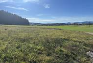 Baugrundstück Grünbach bei Freistadt