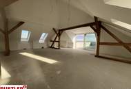 Luxuriöses Penthouse mit historischem Charme und Blick über die Weingärten