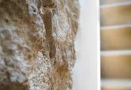 Neuwertiges Traumhaus Nähe Faaker See: Garten, Terrasse, top Ausstattung.