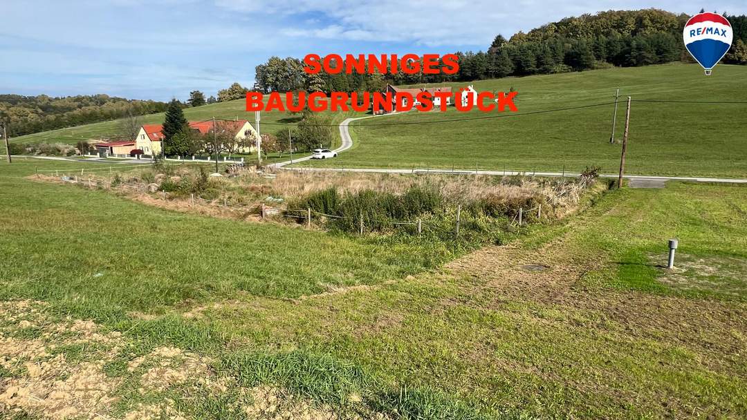 sonniges, ebenes Grundstück ohne Bauzwang im SÜDBURGENLAND