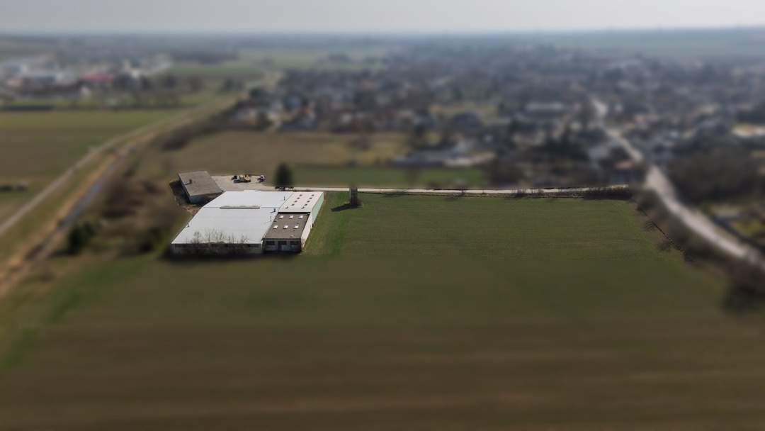 GIGANTISCH gesucht? HIER RICHTIG