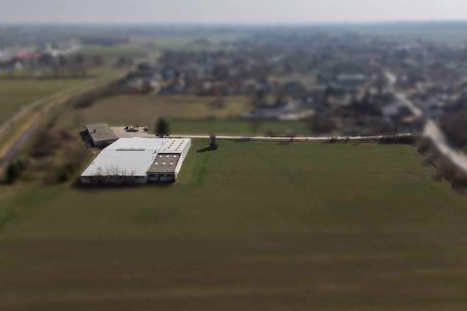 GIGANTISCH gesucht? HIER RICHTIG, Gewerbeobjekt-kauf, 890.000,€, 2183 Gänserndorf