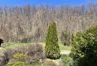 "Einfamilienhaus mit Potenzial in ruhiger Waldlage!"