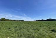 PROVISIONSFREI! Wunderschöne Doppelhaushälfte mit ca. 160m² Wfl., 5 Zi, Garten, Terrasse, 2 Stellplätze in der Nähe von Wiener Neustadt