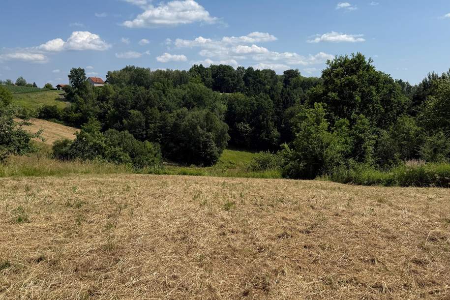 Baugrundstück in sonniger Ruhelage, Grund und Boden-kauf, 129.000,€, 7574 Güssing