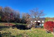 FAMILIENDOMIZIL MIT SCHWIMMTEICH