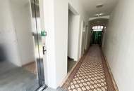 Ebenerdige Wohnung in tollem Ambiente Pöchlarns zu mieten!