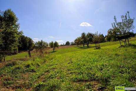 Idyllisches Landhaus im Vulkanland mit großem Nebengebäude – Nähe Bad Gleichenberg, Haus-kauf, 349.000,€, 8344 Südoststeiermark