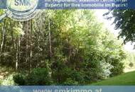 Weinkeller mit riesen Waldgrundstück Nähe A5!