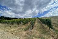 Bad Waltersdorf: Weinberge, Ackerflächen und Wald für experimentierfreudige Winzer oder Landwirte mit Vision